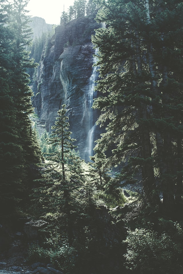A waterfall in the middle of a forest - Photo by Thomas Kelly on Unsplash